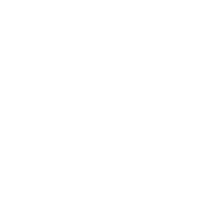 Flash Icon